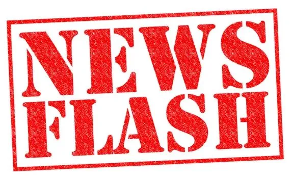 News Flash (2024)